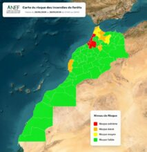 L'ANEF publie une carte des zones à risque des incendies de forêt pour la période allant du 26 au 29 mai.