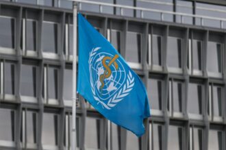Hantavirus : le risque pour l'ensemble de la population est &ldquo;absolument faible&rdquo;, assure l'OMS