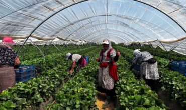 WAFIRA II : 3.000 travailleurs marocains attendus en Espagne et en France d’ici 2028