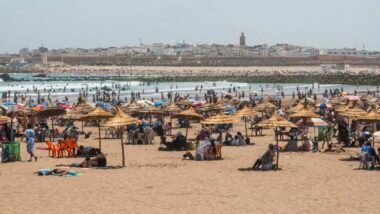 Parasols, chaises et sable “réservé” : avant l’été, les communes recadrent l’usage des plages publiques