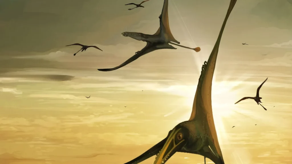 Près de Midelt, les traces fossiles d’un reptile volant vieilles de 120 millions d’années étudiées