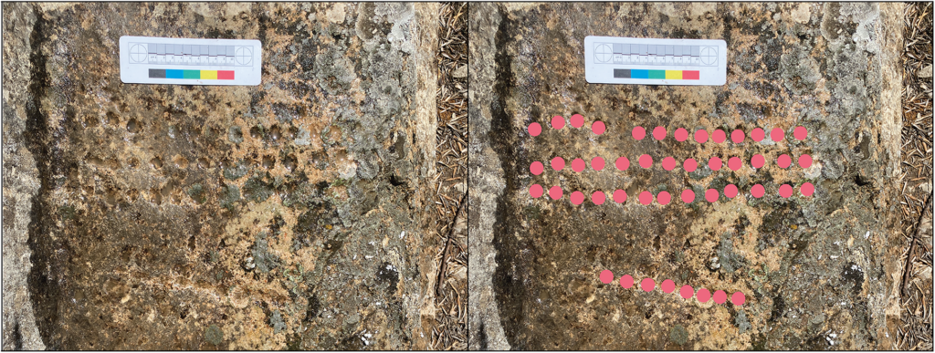 Plateau de jeu gravé dans la pierre découvert à Walili, ancien site de Volubilis