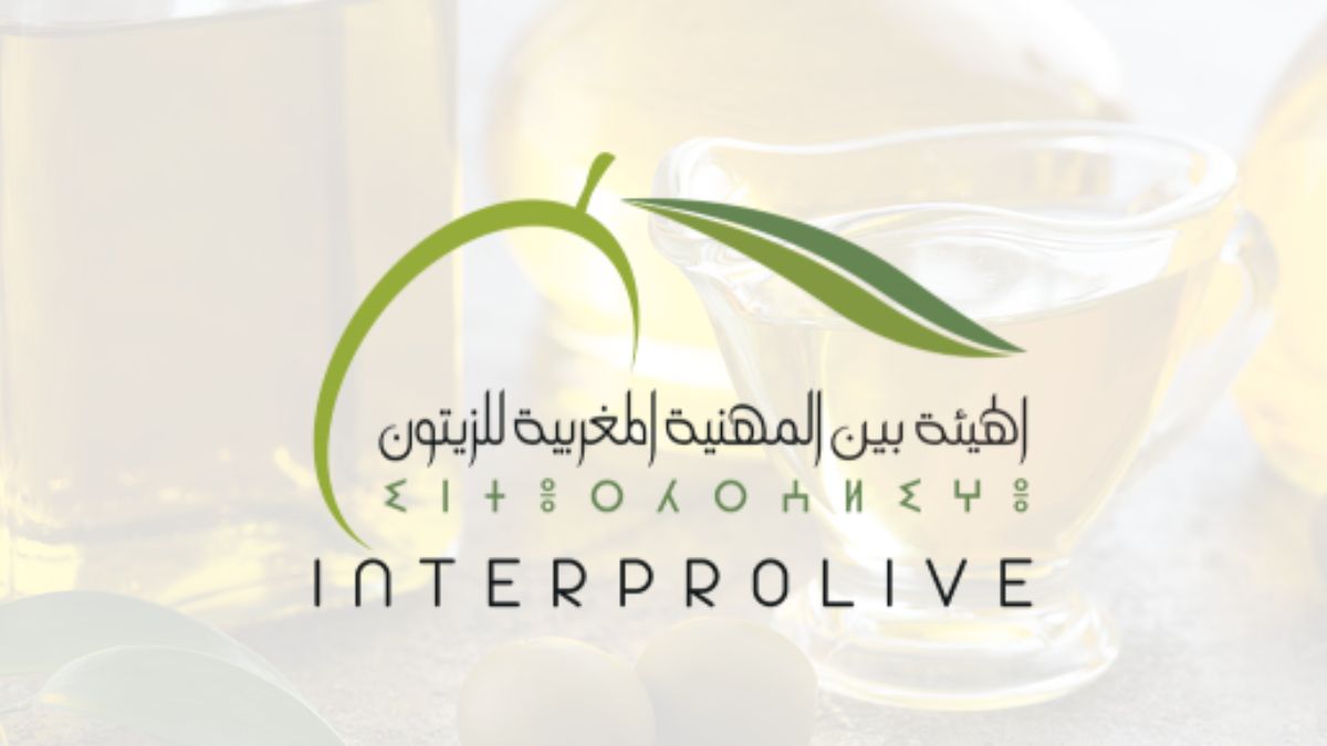 Olive : une nouvelle contribution obligatoire imposée à toute la filière