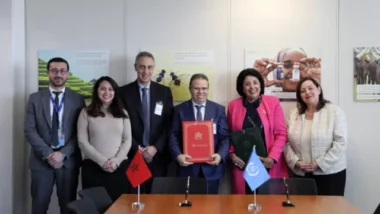 Le Maroc renforce sa coopération avec l’AIEA dans la prise en charge du cancer