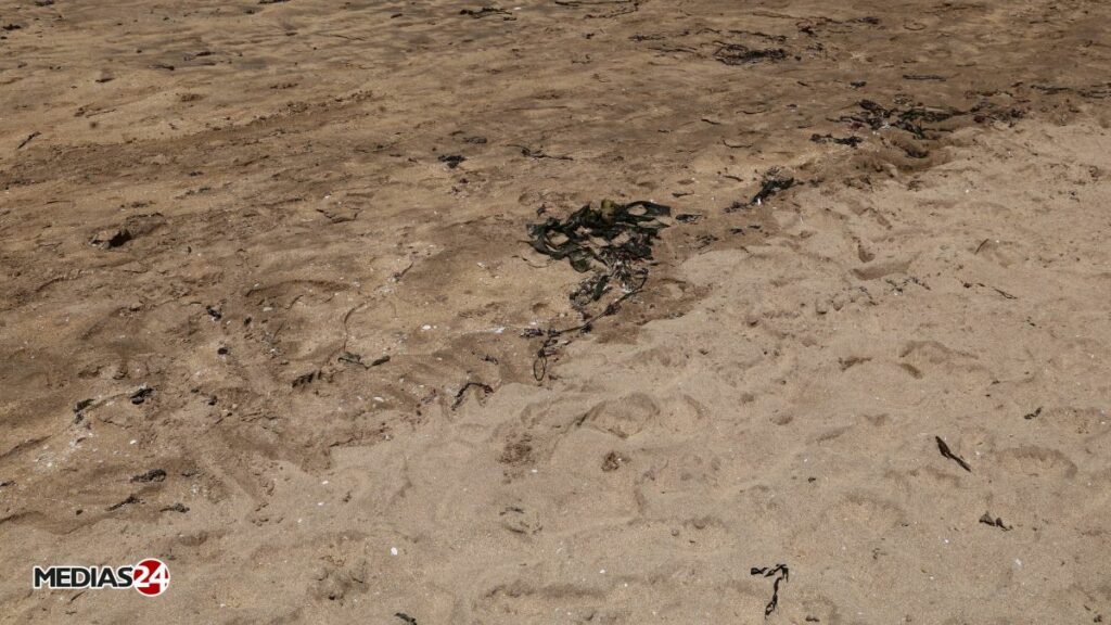 Casablanca : la plage de Aïn Diab envahie de déchets, des interrogations sur leur origine