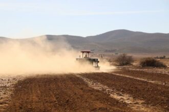Fortes chaleurs : l'irrigation sous tension, l'apiculture déjà affectée
