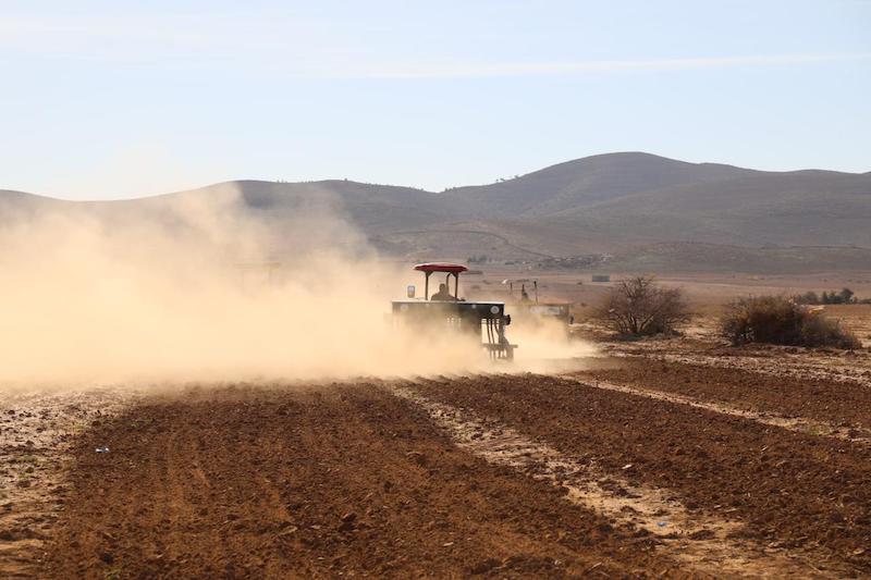 Fortes chaleurs : l'irrigation sous tension, l'apiculture déjà affectée