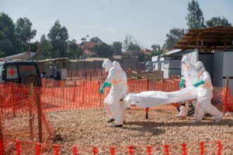 Ebola en RDC : le pic reste à venir, l'épidémie pourrait durer un an