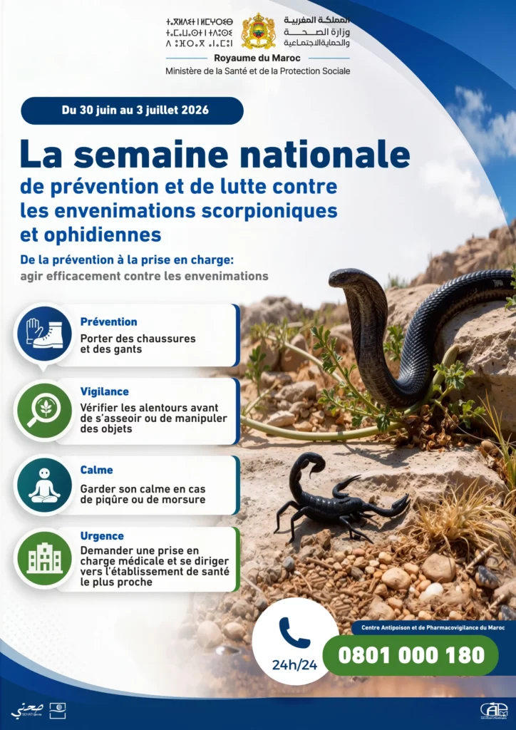 Santé : le Maroc lance sa campagne contre les envenimations, après plus de 20.000 piqûres de scorpion en 2025 Santé : le Maroc lance sa campagne contre les envenimations, après plus de 20.000 piqûres de scorpion en 2025