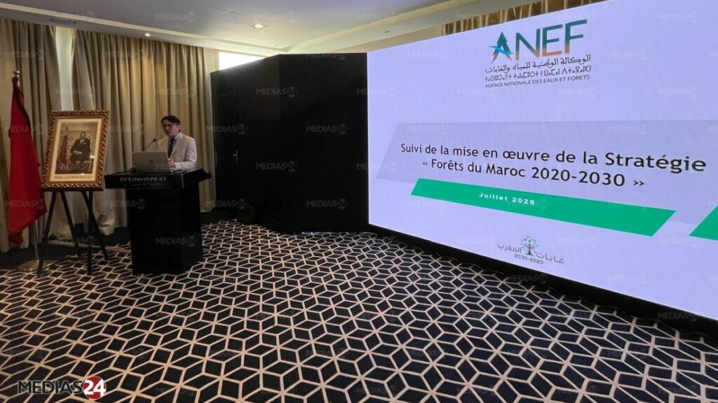 Reboisement, biodiversité, gouvernance : l'état d'avancement de la stratégie Forêts du Maroc