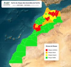 Douze provinces en risque extrême d'incendies de forêts, alerte de l'ANEF.