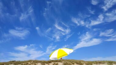 Météo : la chaleur s'installe et s'intensifiera progressivement jusqu'au dimanche 19 juillet 2026