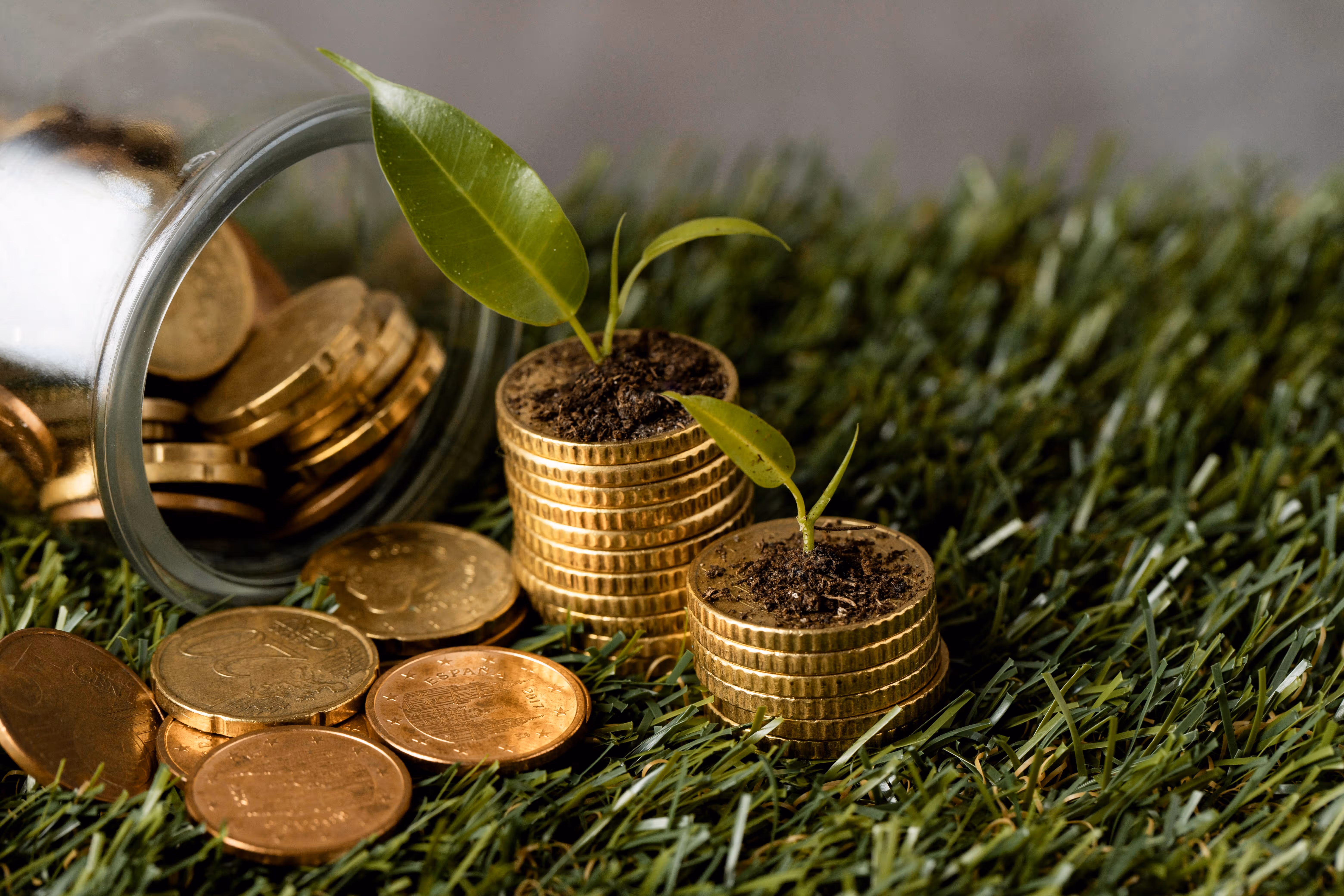finance verte, Maroc, Taxonomie marocaine de la finance verte, banques, entreprises, marché des capitaux, obligations vertes, investissements durables, transition climatique