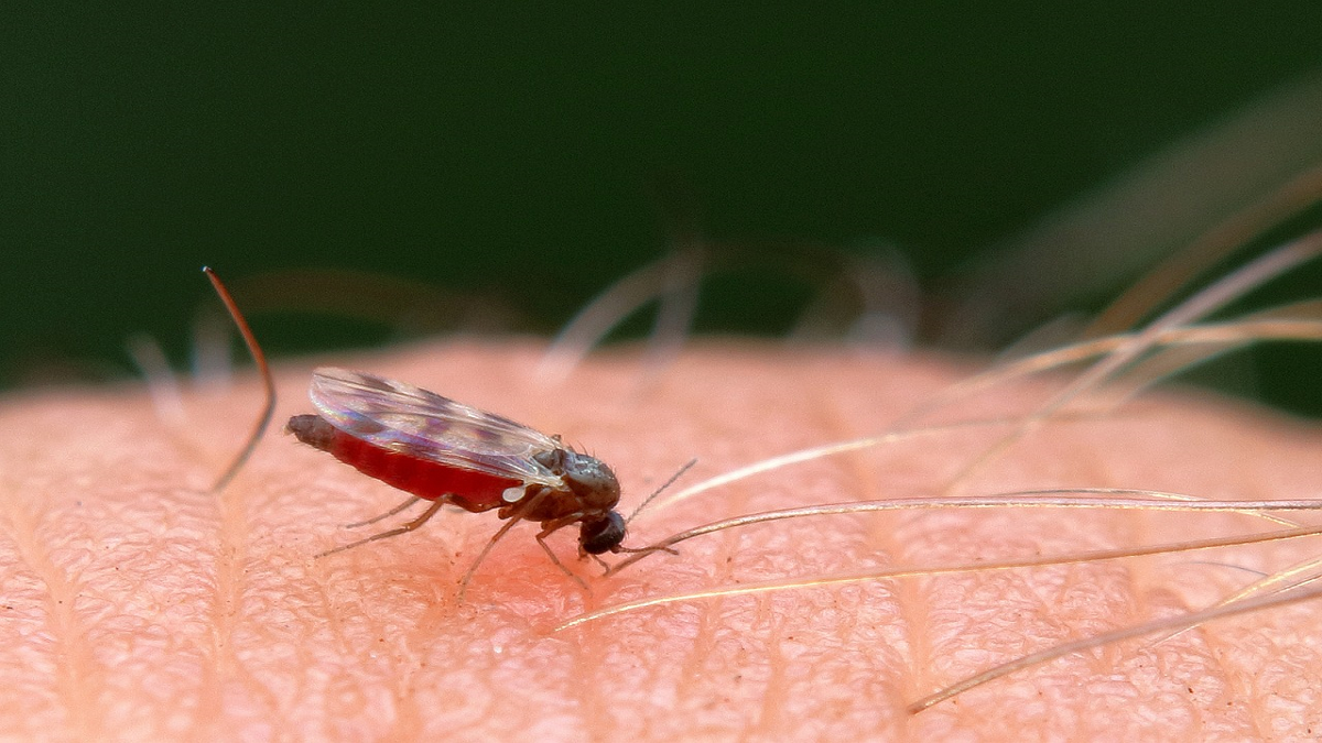 L'AM3D alerte sur les risques sanitaires de l'été.