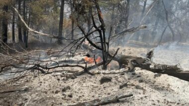 Taroudant : à Ouneine, les Canadair freinent un incendie de plus de 100 ha