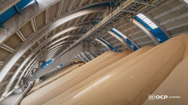 OCP Nutricrops cède 50% de Jorf Fertilizers Company I à Koch