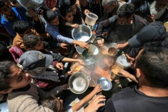 Gaza: la sécurité alimentaire s'améliore mais reste fragile, selon l'ONU